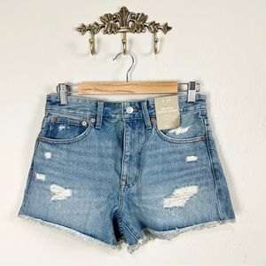 Madewell Light Blue Distressed Denim Jean Shorts